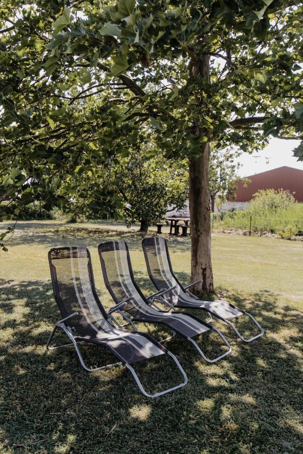Hotel Moerbischerhof Fertőmeggyes Kültér fotó