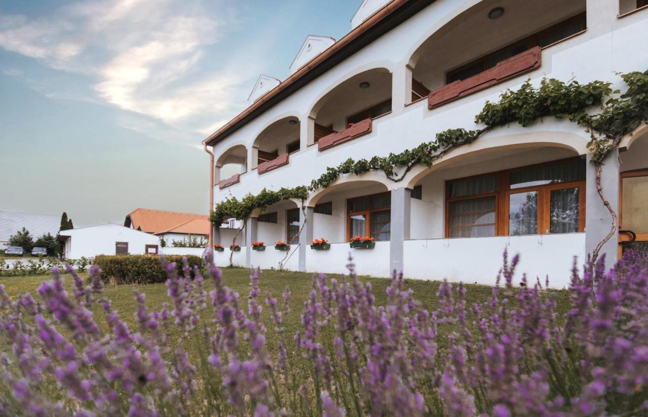 Hotel Moerbischerhof Fertőmeggyes Kültér fotó